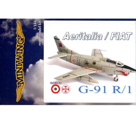 Aeritalia Fiat G-91 R1