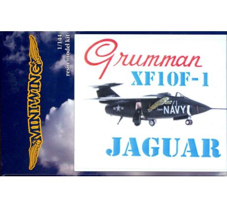 Grumman F-10F 'Jaguar'