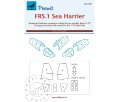 FRS.1 Sea Harrier (Italeri)