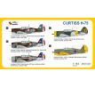 Curtiss H-75 ‘Foreign Pilots’
