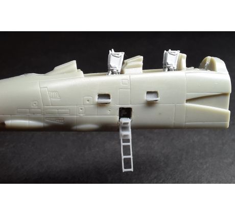 Ladder F-14