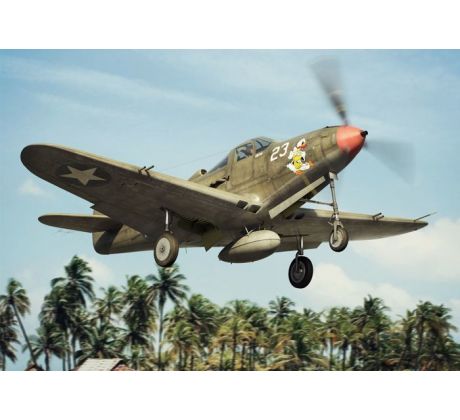 P-39 D-F-K Airacobra