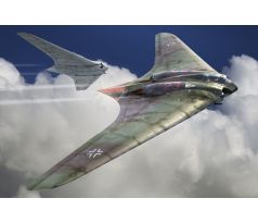 Horten Ho-229A