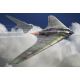 Horten Ho-229A