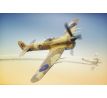 Typhoon Mk Ib Car Doors-Desert and Luftwaffe trials