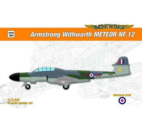 Armstrong Withworth METEOR NF.12