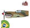P-40E  | Força Aérea Brasileira | 1945