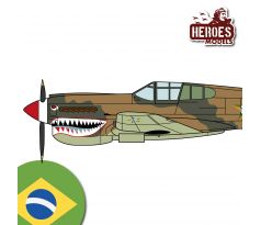 P-40E  | Força Aérea Brasileira | 1945