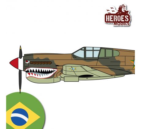 P-40E  | Força Aérea Brasileira | 1945