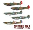 Spitfire MK.1 in Foreign Service
