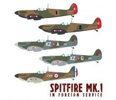 Spitfire MK.1 in Foreign Service