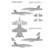 F/A-18C in US Navy