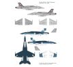 F/A-18C in US Navy