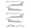 Tornado F.3 in Italian & Saudi Arabian AF DMF7210