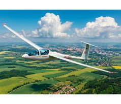 DG-1000 glider