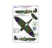 303 th Squadron RAF,S.Spitfire Mk.IIb,flown a Czech pilot Sgt.J.Balejka