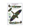303 th Squadron RAF,S.Spitfire Mk.IIb,flown a Czech pilot Sgt.J.Balejka