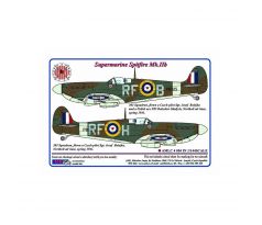 303 th Squadron RAF,S.Spitfire Mk.IIb,flown a Czech pilot Sgt.J.Balejka
