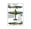 312 th Squadron RAF, Part I