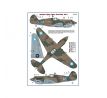 American “Flying Tigers“ Over China, Part II