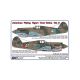 American “Flying Tigers“ Over China, Part II