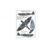 Czech pilots on S.Spitfire Mk.IXc, Part III