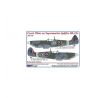 Czech pilots on S.Spitfire Mk.IXc, Part III