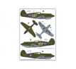 Curtiss P-40 over Pearl Harbor