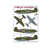 Curtiss P-40 over Pearl Harbor