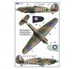 Czechoslovak pilots in Battle of Britain