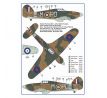 Czechoslovak pilots in Battle of Britain