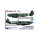 312 th Squadron RAF, Part V
