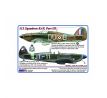 312 th Squadron RAF, Part III