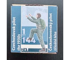 Czechoslovak pilot 1930s 145002
