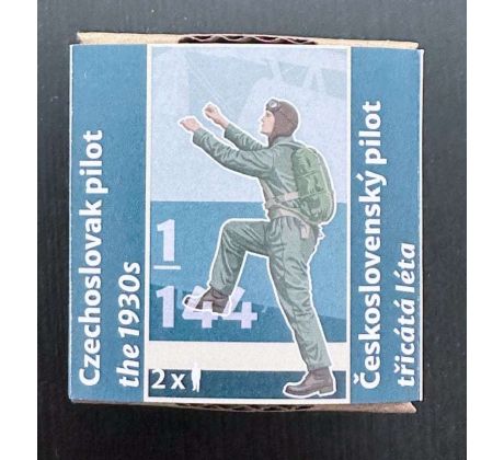 Czechoslovak pilot 1930s 145002