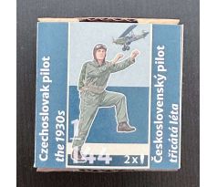 Czechoslovak pilot 1930s 145003