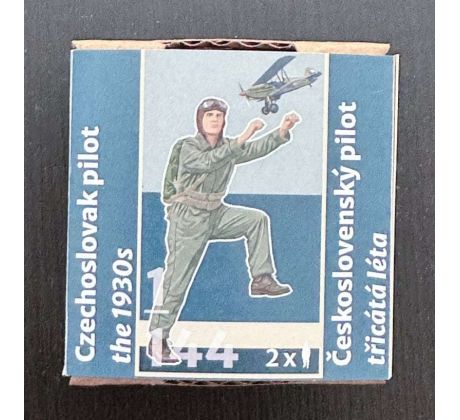 Czechoslovak pilot 1930s 145003
