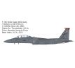 F-15E/I in USAF and IAF